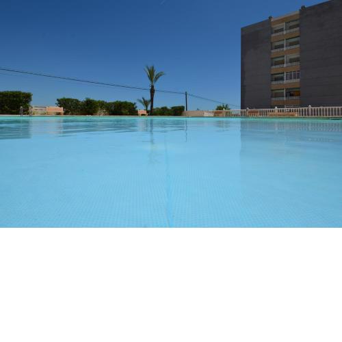 Tourist Rental Paco Apartment, community pool Rocio Mar Torrevieja
