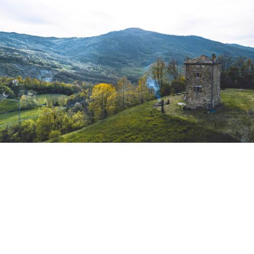 Tower house XV century