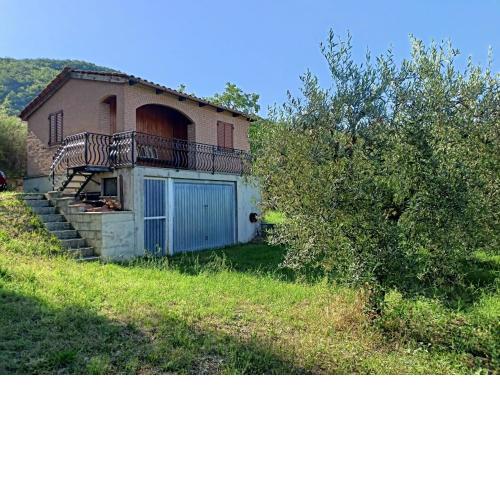 Tra gli Ulivi Umbri