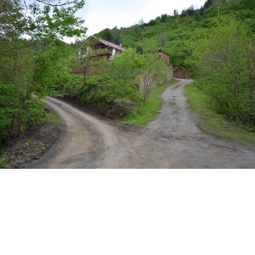 Trabzon green valley villa