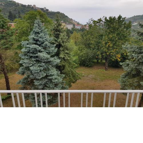 Trabzon