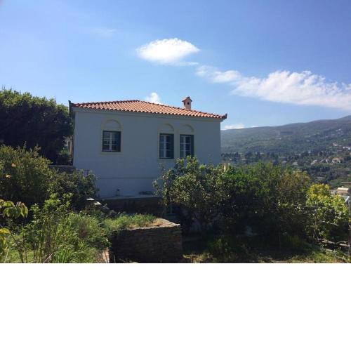 Traditional Andriotic Villa