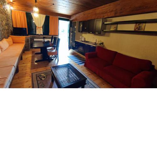 Traditional cozy apartments in Livadi Parnassos