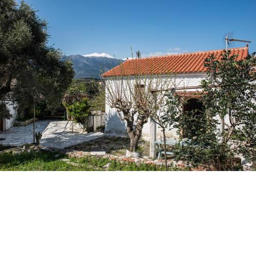 Traditional House