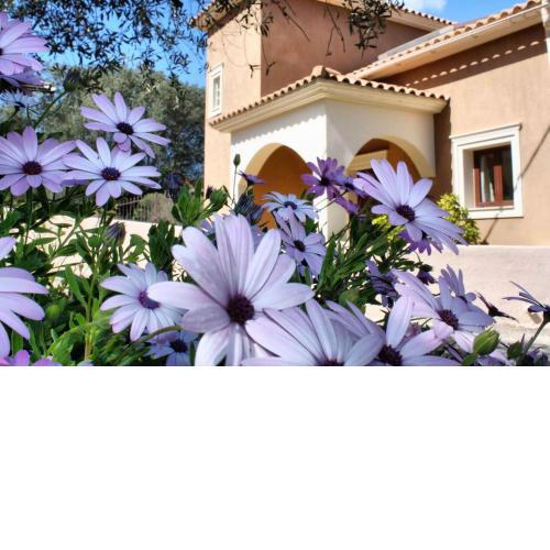 Traditional Villa Mandola