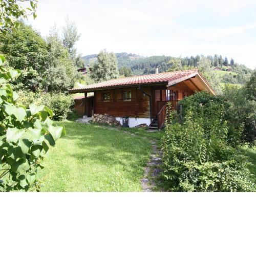 Tranquil Chalet in Niedernsill Salzburg with Garden