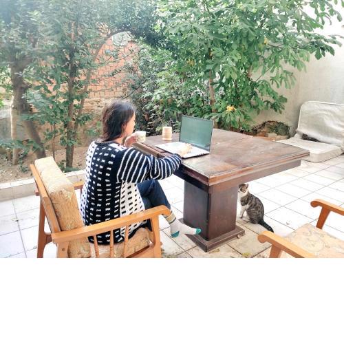Travelers Guest House Hostel