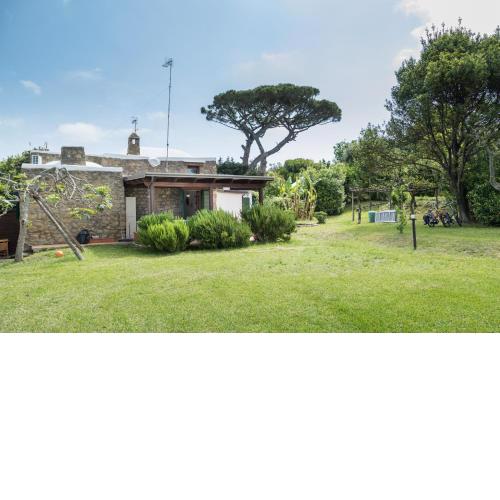 TRE PINI