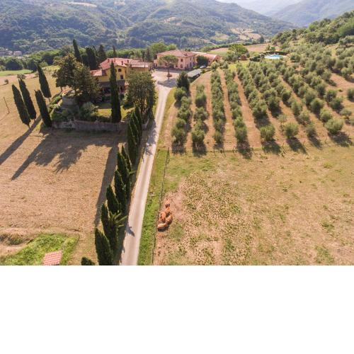 Trebbiolo
