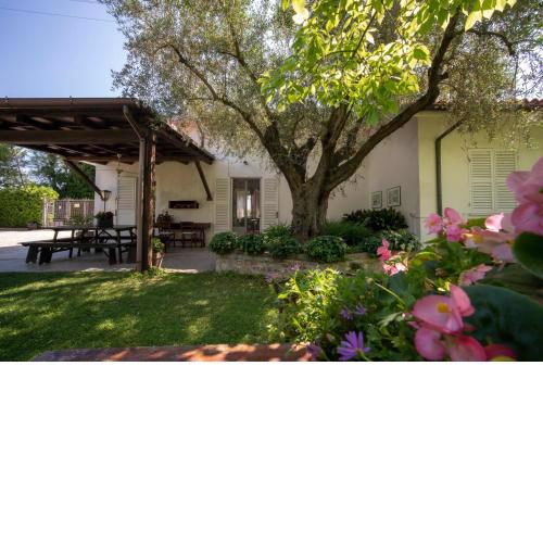 Trecentolivi B&b