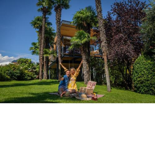 TreeLodgy, The Tree House