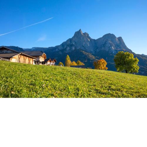 Treffhof