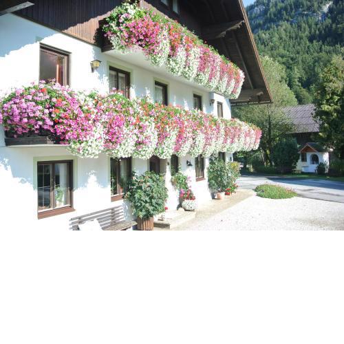 Treindlhof