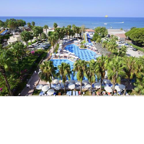 Trendy Palm Beach