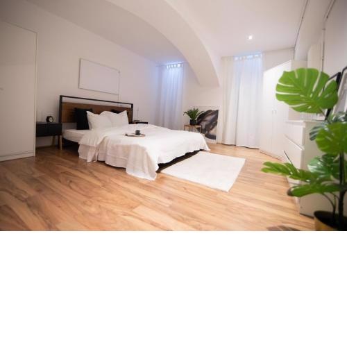 Trendy Souterrain Loft - Near City Center