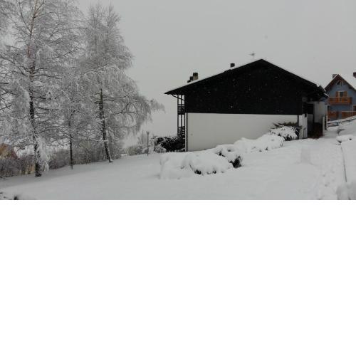 Trentino Apartments - Casa Corn