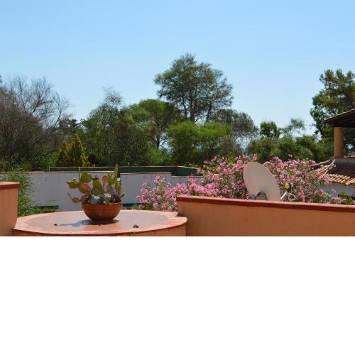 Trilo - Vulcano on sea shore Apartments - Happy Rentals