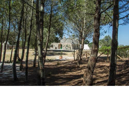 TRULLI CONTI Grande spazio alberato incontaminato- prenotazione esclusiva