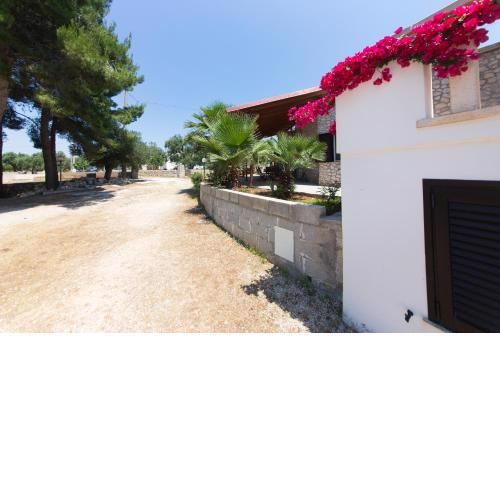 Trullo - Cantoru