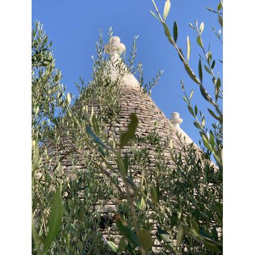 Trullo Monte Olimpo 5