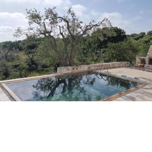 Trullo Piccola Lucertola in Valle d’Itria…