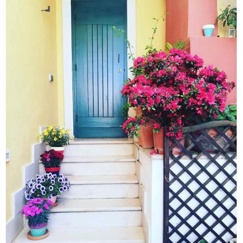 Tuara b&b