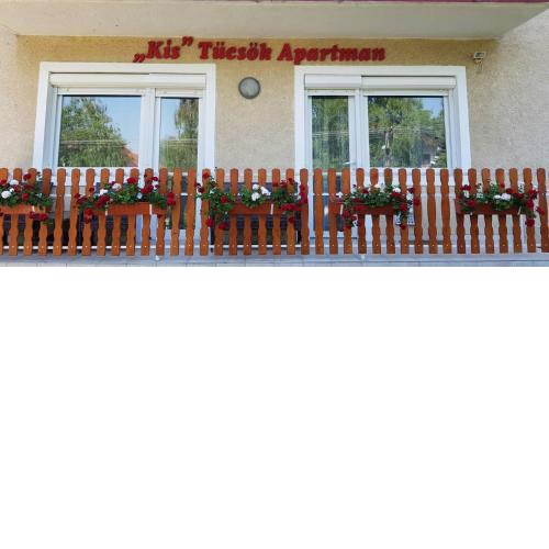 Tücsök Apartman