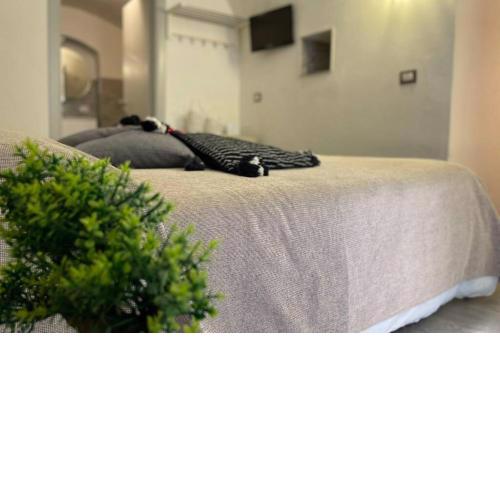 Tufoletto Apartment