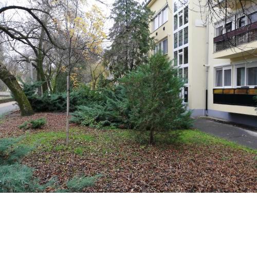 Tulip Family Apartments