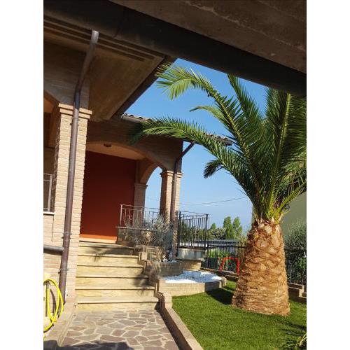 Tulipano B&B