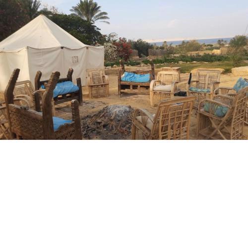 Tunis Tone Eco-lodge Fayoum