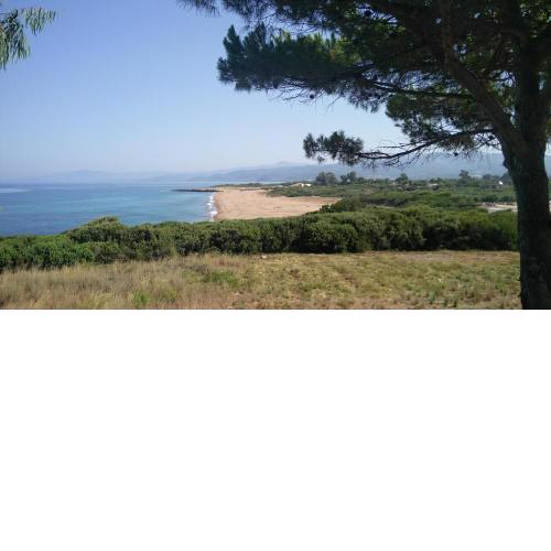 Tzanetos Seaside