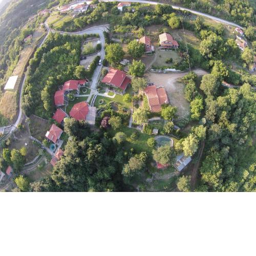 Tzivaeri