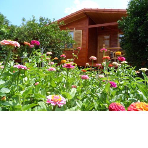 Ugur Pansiyon Bungalows