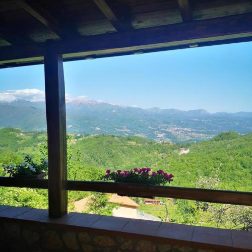 Ulivella Holiday Home