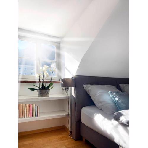 Ultimate Concierge Serviced Private Penthouse Apartment, in Altstadt