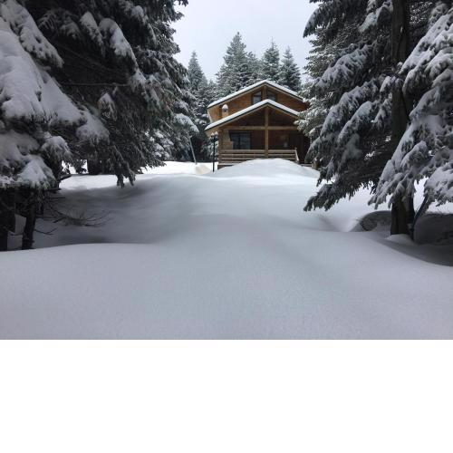 Uludag Orman Koskleri