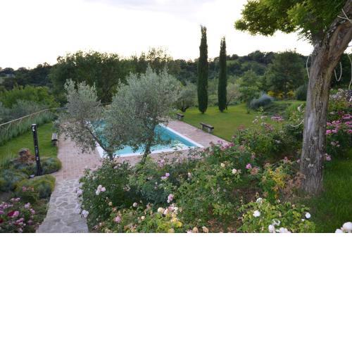 Umbrian Holiday on the enchanting hills of Todi!