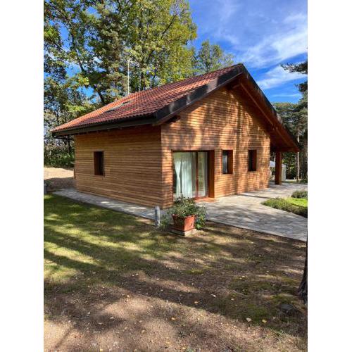 Un bagno nel bosco - Moderno Chalet