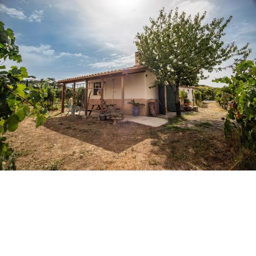 Un' Ottima Annata - La casa nel vigneto