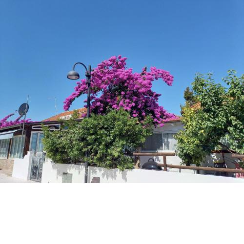 una piccola Casa al Mare