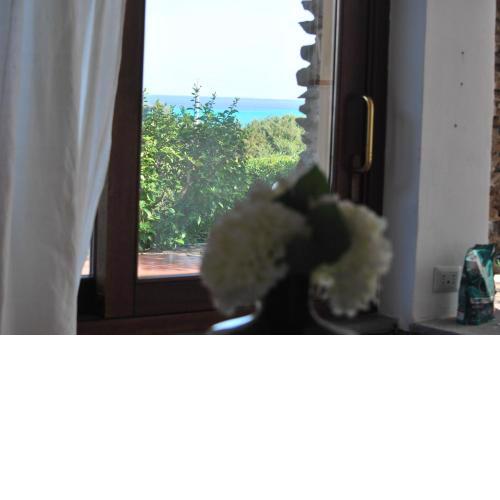 Uno Sguardo sulla Pelosa