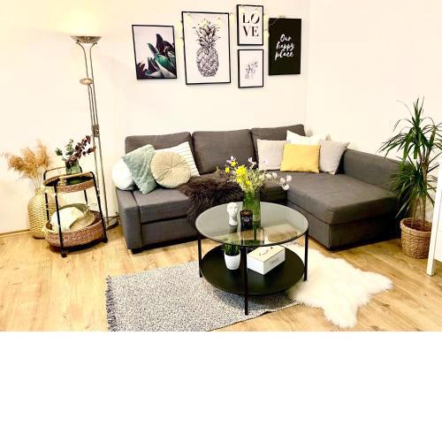 URBAN JUNGLE Apartment old town