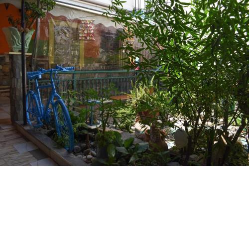 Urban Seaside Oasis - Adriana's Garden Paradise