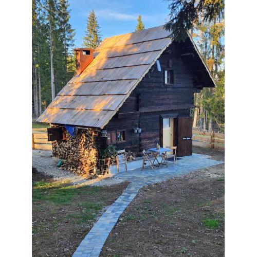 Urige Waldbienenhütte