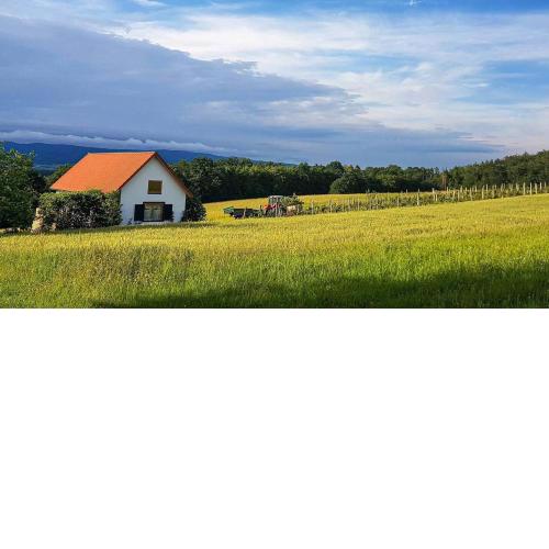 Urlaub am Kinispa