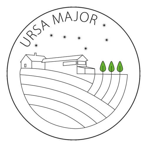 Ursa Major