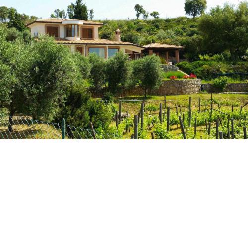 Uva e Stelle Maison in collina di Sperlonga