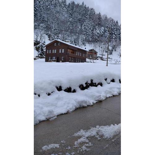 UZUNGÖL KASTEL APART