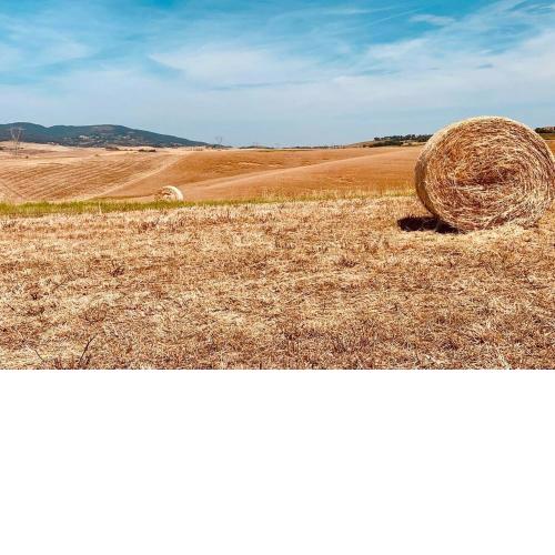 Vacanze sulle colline Toscane ad un passo dal mare